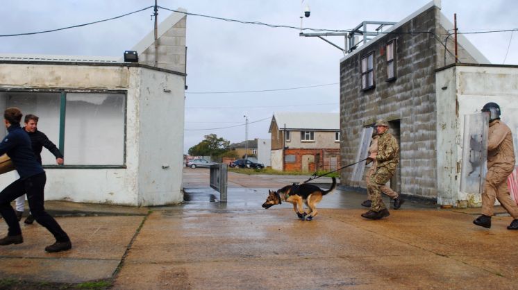 Dog Day for Bermuda Soldiers